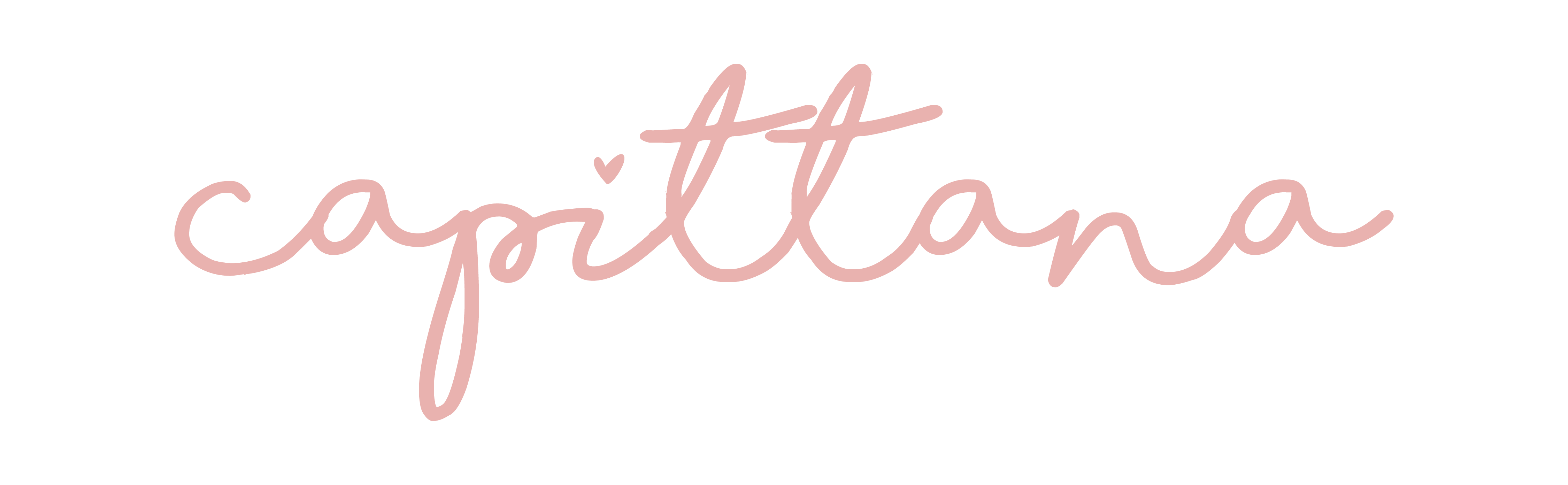 CAPITTANA Logo Header